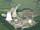 AKW Philippsburg